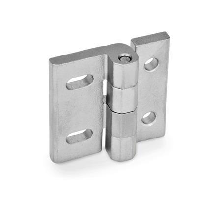Cerniere GN 235: Acciaio INOX, regolabili